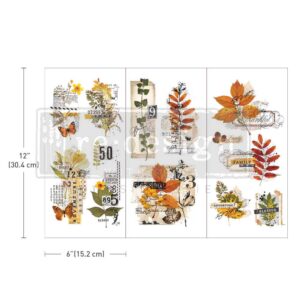 Redesign Décor Transfers® - Foliage Collector