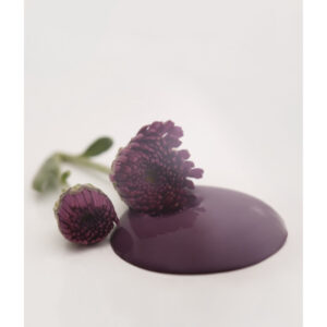 Χρώμα κιμωλίας Vintage Paint , Posh Plum
