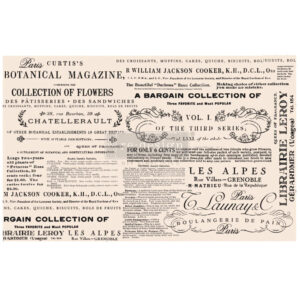 Re design Tissue Paper , Floral Text