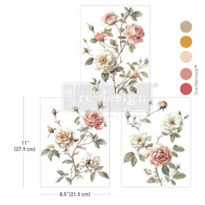 Redesign Décor Transfers® -Middy - Creamy Blush Blooms